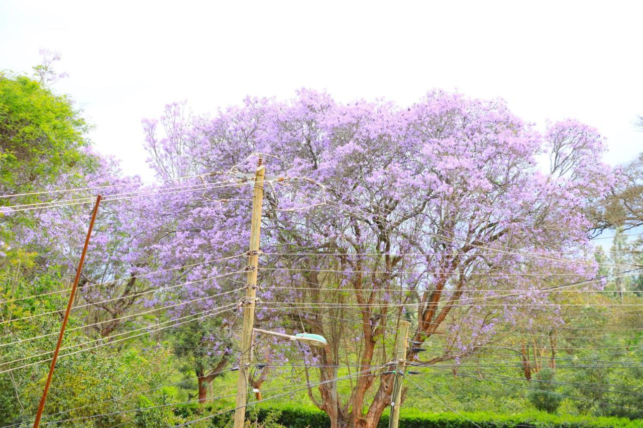 Gp Modern Homes- Kingo'Ngo Nyeri Extérieur photo